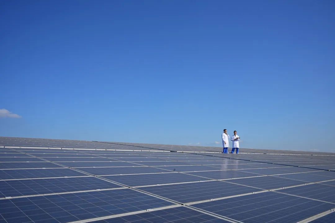 首页|bifa必发集团中国官方网站